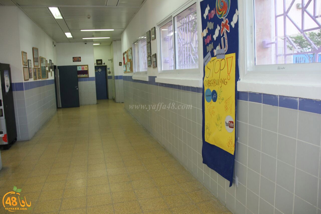 idrab shamela (15).jpg